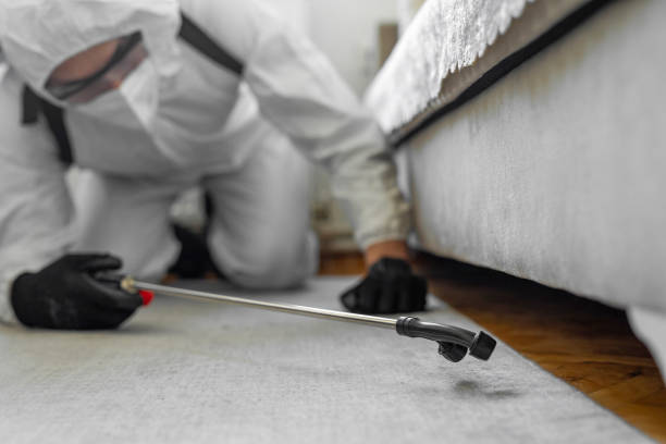 Professional Emergency Pest Control technician working in Lake Hallie, WI