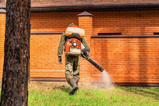 Trusted Ant Control service in Lake Hallie, WI - Nex Pest Control